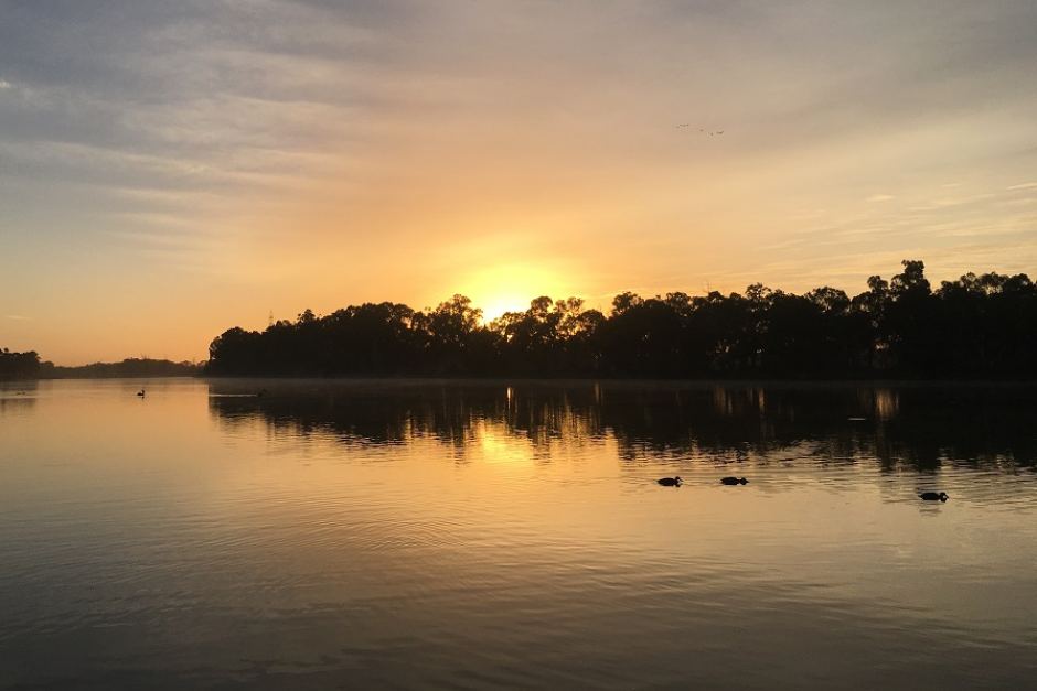 Murray-Darling Basin Authority: a royal, commissioned farce - Michael West