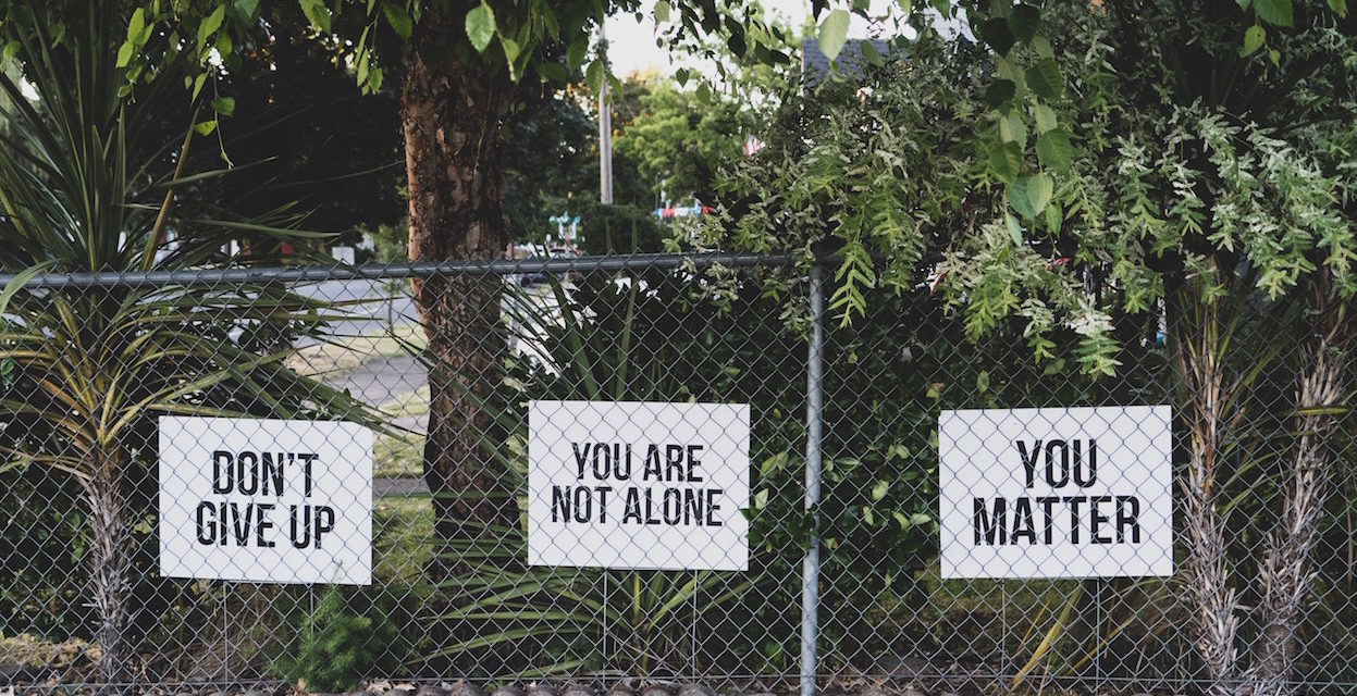 Fencegate: lawyer arrested, charged with crimes against humanity for sending too many emails to local council