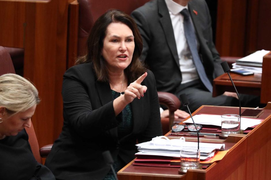 Who Guards the Guards? Big Four prepare for war as beach-side senator brings corporate inquiry