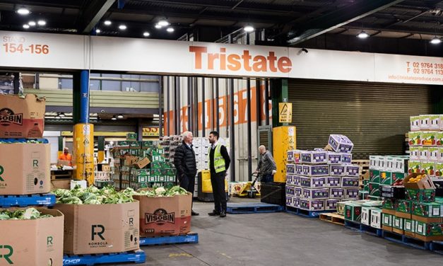 Meet the Tripodinas, the Sydney leafy foods head honchos and Liberal Party benefactors behind the offer to privatize Australia's visa framework