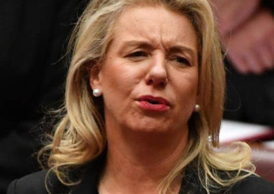 Bridget McKenzie’s $2,200 Sydney awards night jaunt