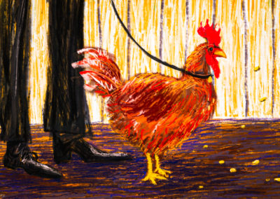 Feeding the Chooks: Scott Morrison’s marketing triumph over mainstream media