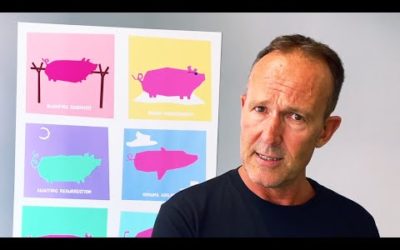 Humongous $3.57 JobSeeker rise