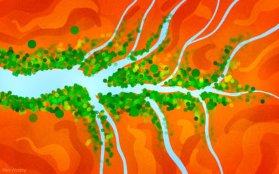 War for Water: foreign investor firepower over Australian farmers in water deals