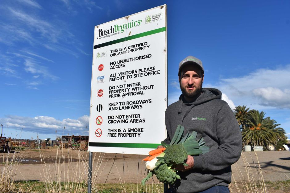 Kane Busch Busch Organics